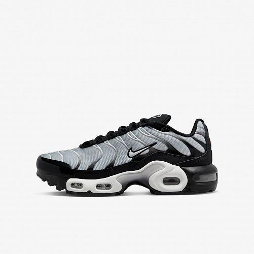 Кросівки Nike Air Max Plus CD0609-018