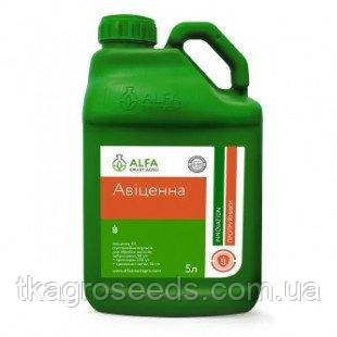 Фунгіцидний протруйник АВІЦЕННА (трикомпонентний протруйник), тара - 5 л. ALFA Smart Agro