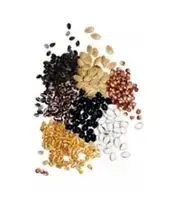 ПРОТРУЙНИКИ