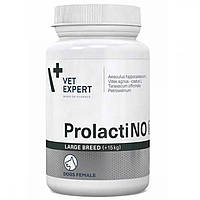 Кормовая добавка VetExpert Prolactino Large при ложной щенности собак крупных пород от 15 кг