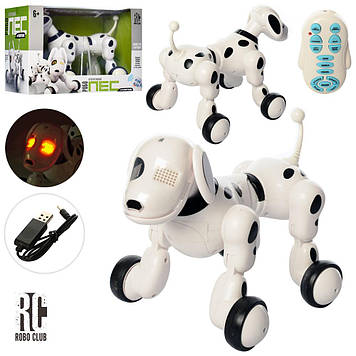 Інтерактивна собака-робот Zoomer на радіокеруванні RC 0006. (Англійською мовою)