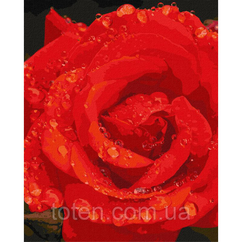 Картина за номерами "Троянда в діамантах" Ідейка KHO3207 40х50 см топ