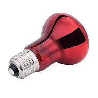 Лампа розжарювання Fuxin інфрачервона, для обігріву тераріуму, E27 50Вт