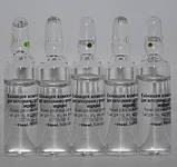 Ехінацея композитум 5мл 5 амп (Echinacea compositum, Heel), фото 2