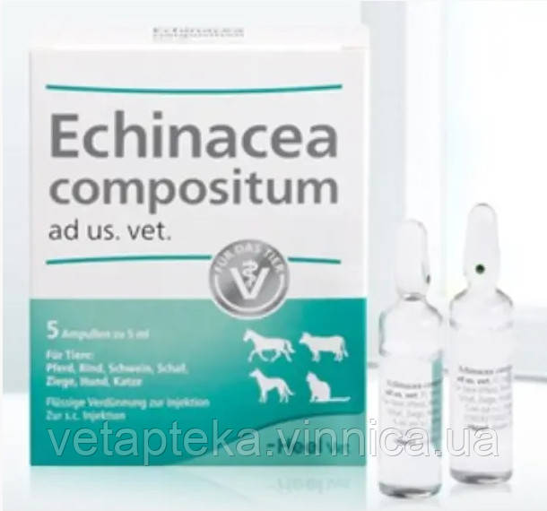 Ехінацея композитум 5мл 5 амп (Echinacea compositum, Heel)