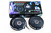 10 см BOSCHMANN BM AUDIO XR-4836 270W трисмугові, фото 11