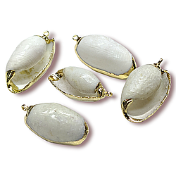 Підвіска, кулон, Морська мушля, з Гальванічним покриттям, розмір 24х14мм, колір Натуральний