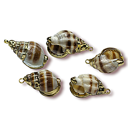 Підвіска, кулон, Морська мушля, з Гальванічним покриттям, розмір 22х12мм, колір Натуральний