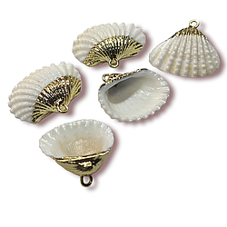 Підвіска, кулон, Морська мушля, з Гальванічним покриттям, розмір 25х20мм, колір Натуральний