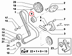 Ролик ГРМ паразитний Fiat Ducato 244, Peugeot Boxer, Citroen Jumper (2002-2006) 2.8JTD/HDi, 99461357, 081832, фото 5
