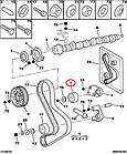 Ролик ГРМ паразитний Fiat Ducato 244, Peugeot Boxer, Citroen Jumper (2002-2006) 2.8JTD/HDi, 99461357, 081832, фото 6