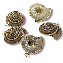 Підвіска, кулон, Морська мушля, з Гальванічним покриттям, розмір 22х20мм, колір Натуральний