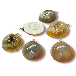 Підвіска, кулон, Морська мушля, з Гальванічним покриттям, розмір 22х18мм, колір Натуральний