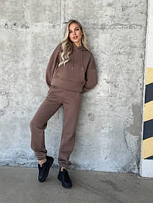 Утеплений жіночий спортивний костюм із худі та джогерами (р. 42-48) 4SP2047
