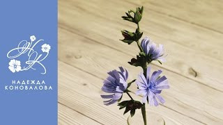 Мастер-класс ПОЛЕВЫЕ ЦВЕТЫ из фоамирана Мастер-класс ПОЛЕВЫЕ ЦВЕТЫ из фоамирана