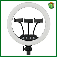 Кольцевая селфи лампа Ring Light LC-360 36 см (3 крепления), селфи лампа с пультом