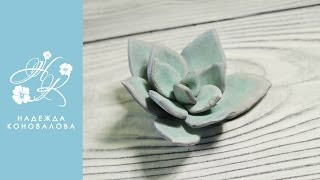 Мастер-класс КАМЕННАЯ РОЗА или суккуленты из зефирного фоамирана Мастер-класс КАМЕННАЯ РОЗА или суккуленты из зефирного фоамирана