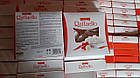 Цукерки Raffaello 25 штук Ferrero Раффаелло Ферреро 260 г Польща, фото 6