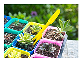 Набір з 2-ух предметів для пікіровки рослин і висадки насіння (вилка-лопатка, посадковий конус), фото 3