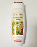 Шампунь Kesh Kanti Patanjali Natural, 180ml/Шампунь Кеш Канті Патанджі Натурал Термін до 06/2026, фото 3