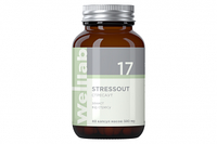 WELLLAB STRESSOUT, 40 КАПСУЛ