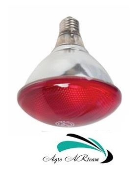 Лампа для обігрівання інфрачервона 175 Вт червона (InterHeat)