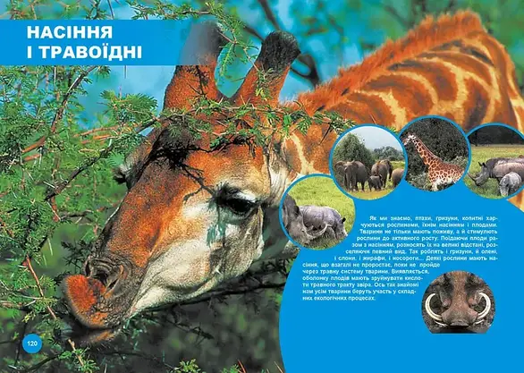 Енциклопедія Хто з ким дружить, або дивовижі симбіозу | Найкращий подарунок | Талант, фото 4