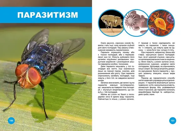 Енциклопедія Хто з ким дружить, або дивовижі симбіозу | Найкращий подарунок | Талант, фото 5