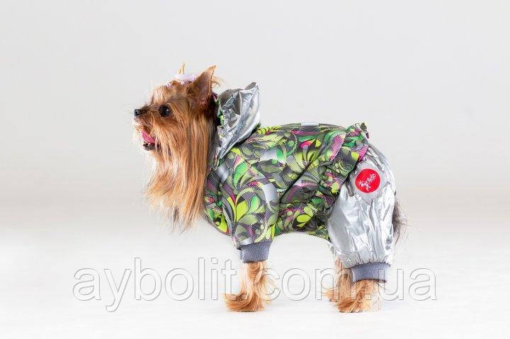 Зимовий комбінезон для собак дрібних порід Darwin Diego на кнопках (для дівчаток) розмір XXS (DmSFXXS) зелений, фото 1