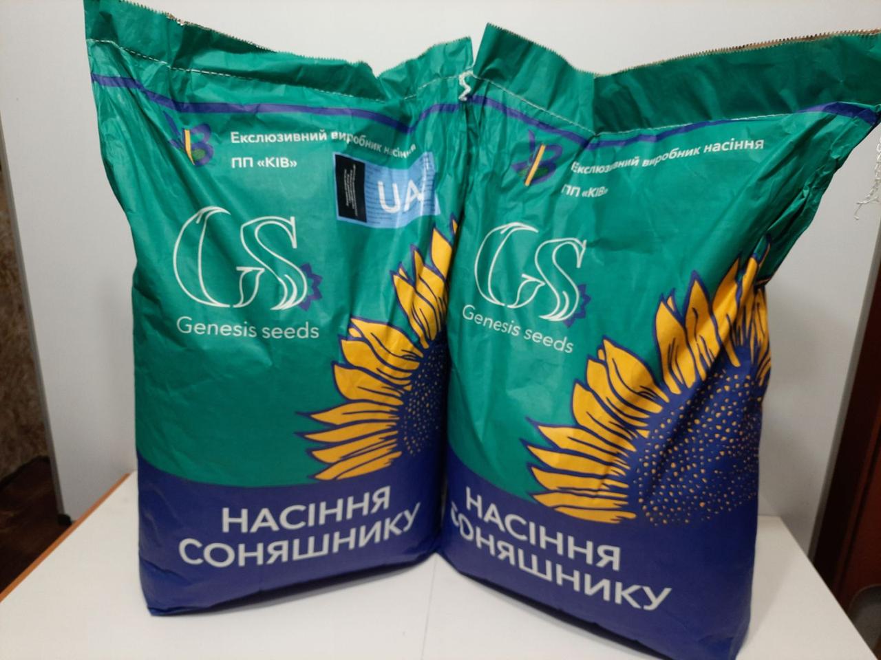 Соняшник ЕКВАТОР під ЄвроЛайтинг. Гібрид ЕКВАТОР 42ц/га, олія 50%, засуха 9 балів, заразу A-F+