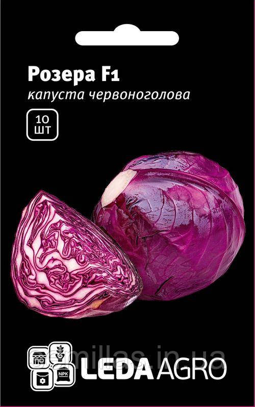 Насіння капусти Розера F1, 10 шт, червоноголової, ТМ Лєда Агро