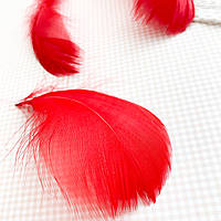 Пір'я гусяче 9-12 см 5 шт Червоне