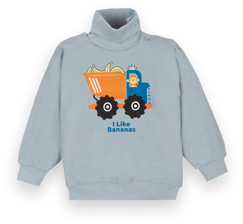 Водолазка дитяча для хлопчика GABBI SV-20-21-2 Зооленд Сірий на зріст 74 (12373)