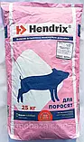 Добавка БМВД для свиней Hendrix Екстра старт 10-30 кг 25%, фото 2