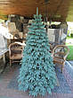 Ялинка лита Швейцарська 2.5м, Блакитна, фото 8