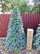 Ялинка лита Швейцарська 2.5м, Блакитна, фото 10