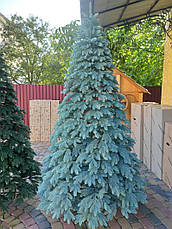 Ялинка лита Швейцарська 2.5м, Блакитна, фото 2