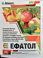 Фунгіцид Ефатол, Adiant+, 10г