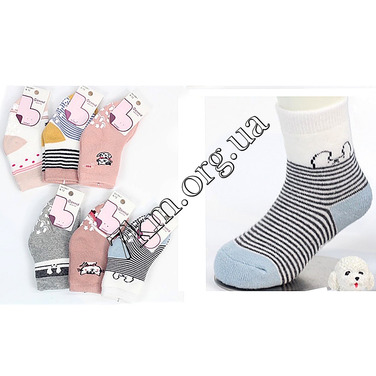 Шкарпетки дитячі махрові для дівчаток Фенна 0-6 місяців Оптом C906-1