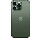 IPhone 13 Pro Max 256 Gb  Alpine Green A15 Bionic 4325 мАг, фото 3