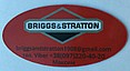 Briggs & Stratton 1908