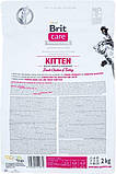 Сухий корм для кошенят Brit Care Cat GF Kitten Growth & Developmen з куркою й індичкою 2 кг, фото 3