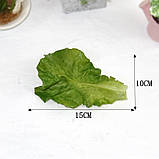 Штучне листя салату RESTEQ 10шт бутафорія муляж овочі імітація зелень, фото 3