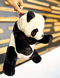 Милий, дитячий рюкзачок у вигляді панди RESTEQ, сумка панда, фото 9