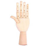 Дерев'яна рука манекен RESTEQ 18см модель для тримання товару, для малювання (права), фото 5