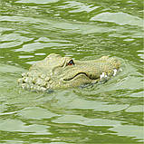 Катер крокодил, р/к плаваюча голова крокодила, іграшка з імітацією голови крокодила Flytec V002 2,4G, фото 4