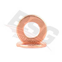 Шайба под форсунку Connect/Transit/Boxer/Ducato/Jumper 1,8TDCi/2,2-3,2TDCI/HDI 06- BSG