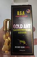 Золотой муравей в колбе Golt Ant (10 шт)