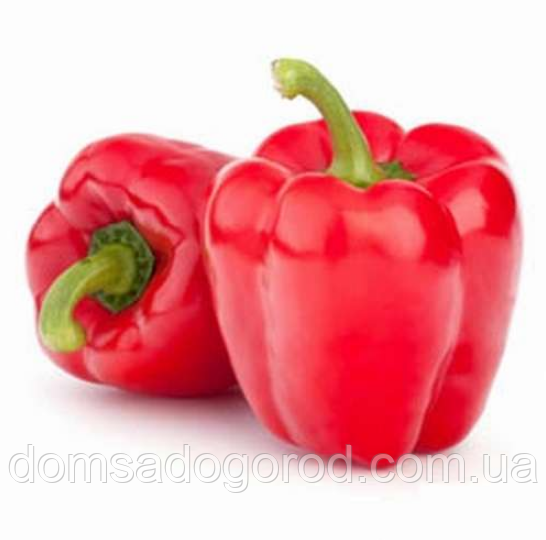 Перець солодкий КАТАН F1 / Katan F1 Kitano Seeds 250 шт