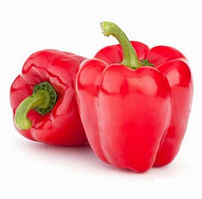 Перець солодкий КАТАН F1 / Katan F1 Kitano Seeds 100 шт